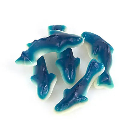 Case - Kervan Sharks, 4/5lb Case