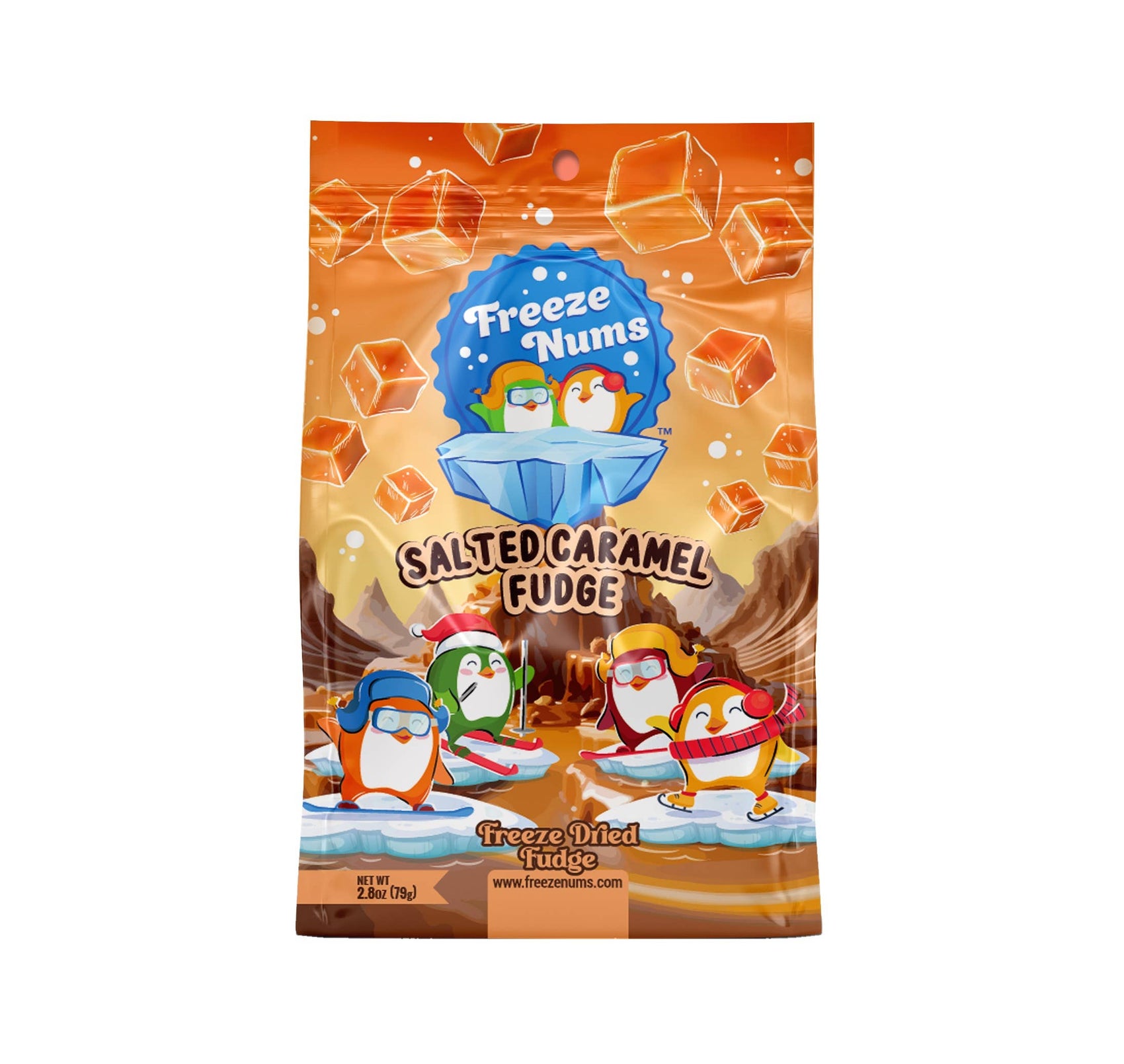 Freeze Nums, Salted Caramel Fudge 2.8oz, 12ct